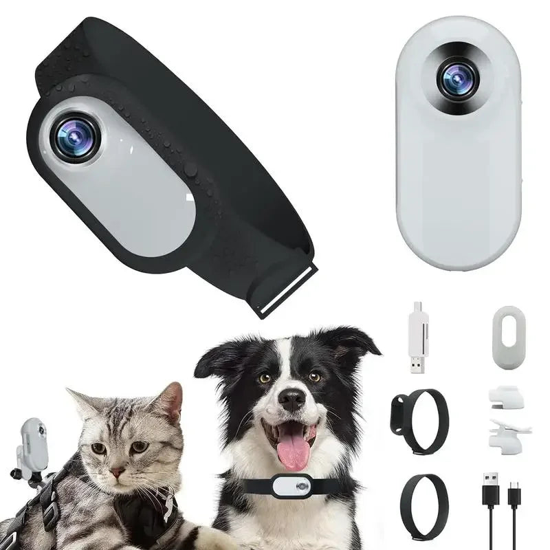 Wireless Tracking Camera Dog & Cat Collar