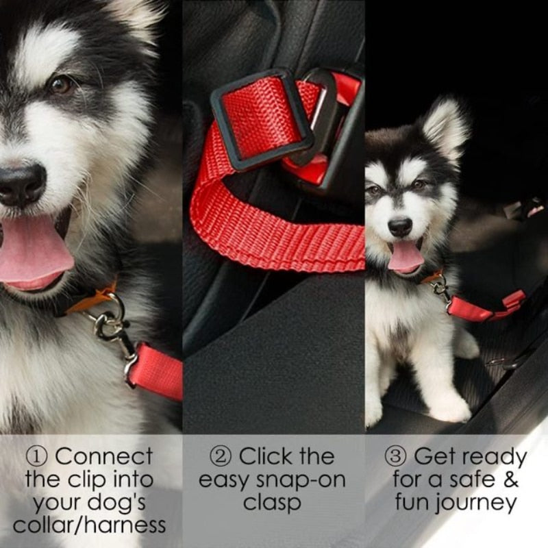 Ultimate Dog Travel Safety Belt